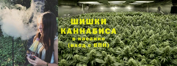 mdma Богородицк