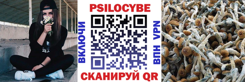 Псилоцибиновые грибы GOLDEN TEACHER  Севск 